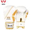 Jiu Ri Shan Boxing Gloves & Training Sets