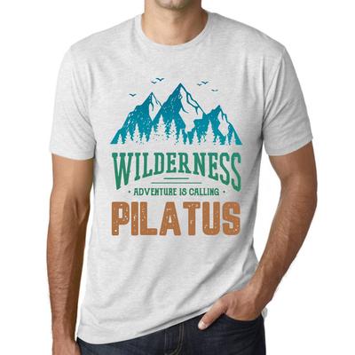 Homme Graphique  T-shirt Grafica T-shirt Wilderness PILATUS White Smoke