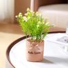 1Pc Potted Plant Northern Europe Simulated Flower Holiday Gifts Weave Modern Simplicity Hangings Home Decoration Plastic