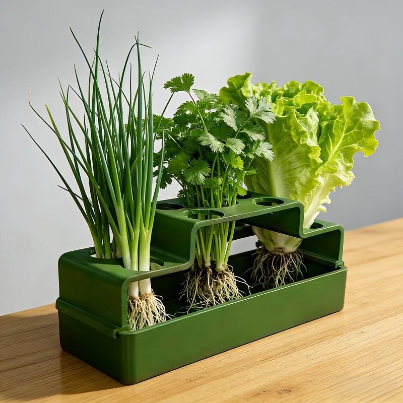 A planter, a special regenerative planter designed for chives, repeated hydroponics
