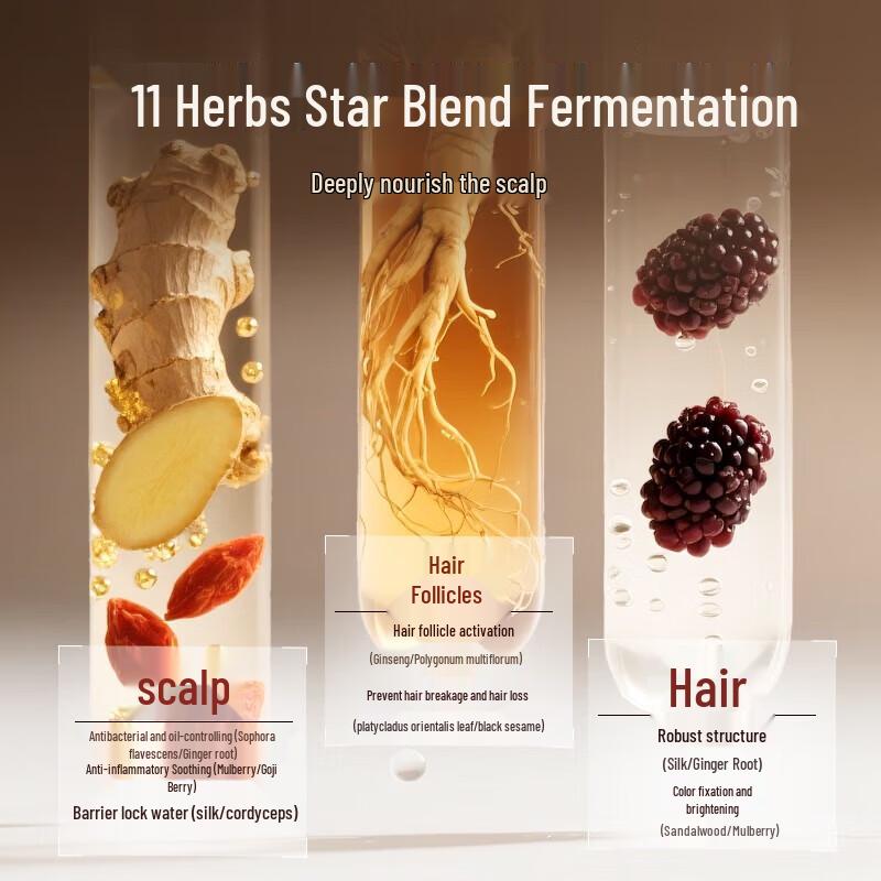 Long Hair Xiaozhai Rice Water Oil Control & Volumizing Shampoo