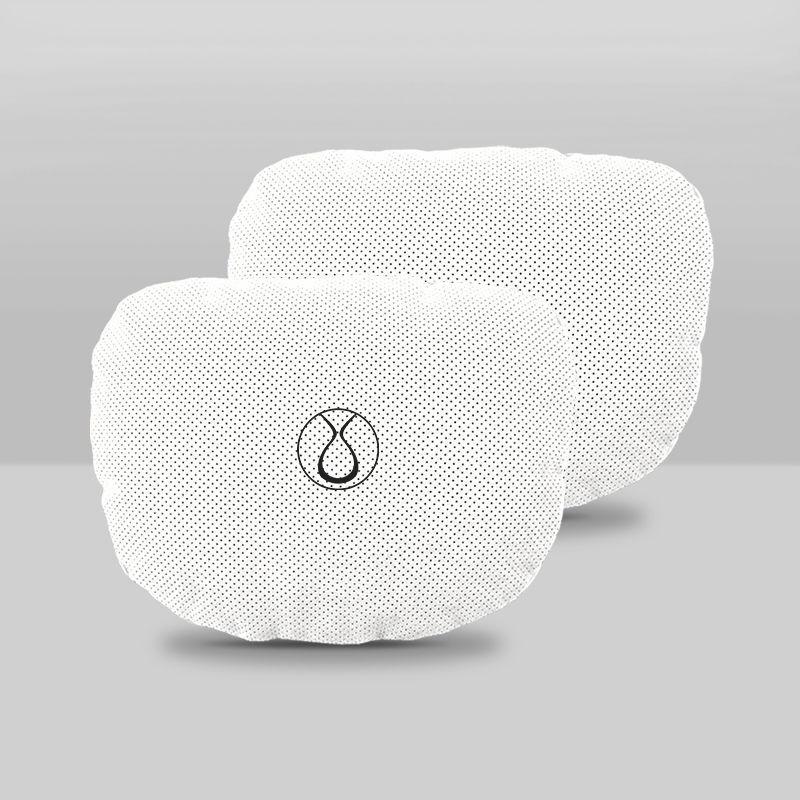 Denza XPHEV Maybach Neck and Lumbar Support Pillow Set