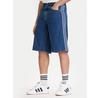 Adidas Adicolor Firebird Shorts