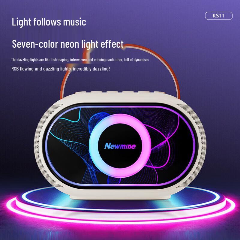 Newsmy KS11 Portable All-in-One KTV Bluetooth Speaker CN plug (adapter included)