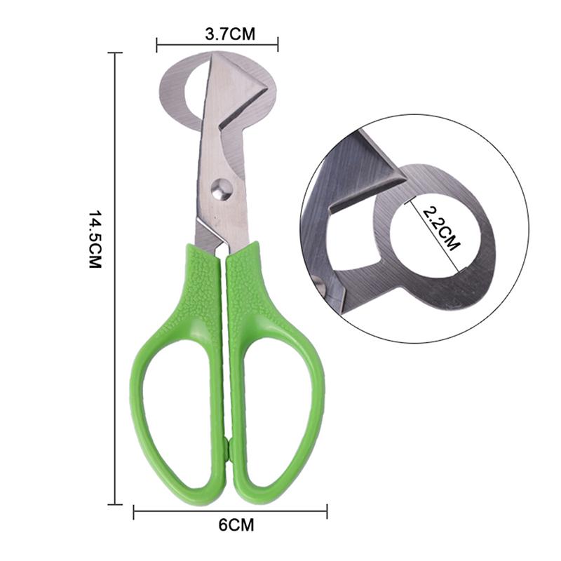 Pigeon Quail Egg Scissor Bird Cutter Opener Egg Slicers Kitchen Tool Clipper