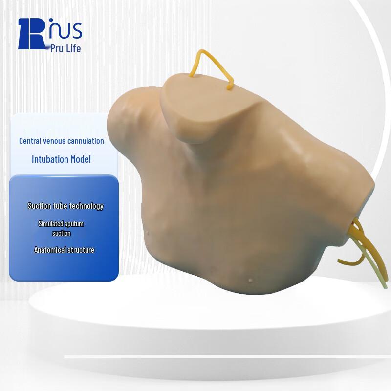Purui Rescue Central Venous & Swan-Ganz Catheterization Training Model
