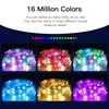RGBIC USB 5V LED Sting Light Bluetooth Music APP WS2812 Programmable DIY Fairy Lights Birthday Party Garland Christmas Decor
