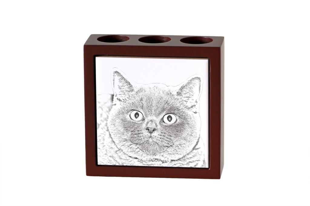 British Shorthair – Pen holder with a cat, desk organizer with a print | Art-Dog