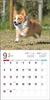 Calendar 2024 Corgi galez (Calendarul Seibundo Shinkosha)