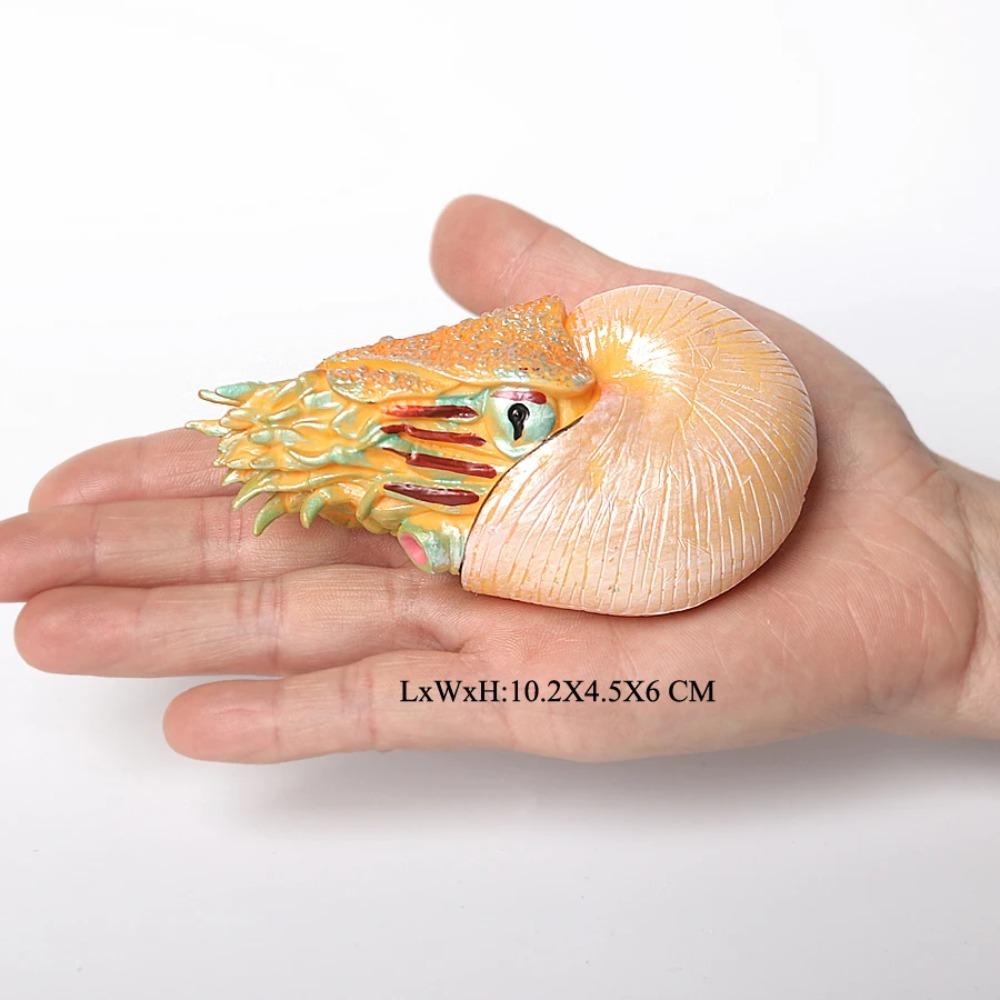 Plastic Ancient Marine Animal Toy Figures Nautilus,Baculites,Cephalaspis,Opabinia,Dunkleosteus Prehistoric Educational Toys
