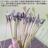 YANYULI Painting Sticks, Painting Clips, for Painting Plastic Models, Handheld Handles, Memo Holders, and Paint Drying Support, Perfect for DIY Paint