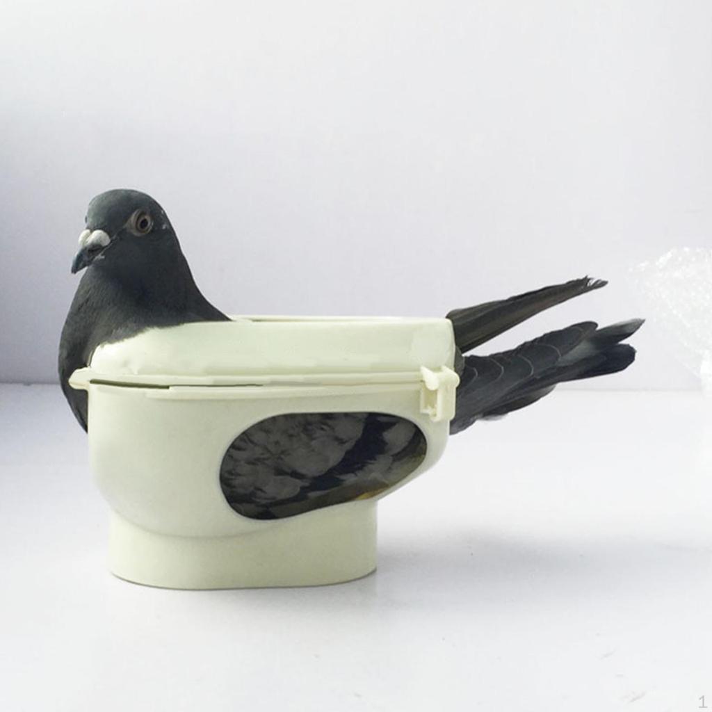 Pigeon Holder Accessory Feeding Tools for Pet Bird Poultry Homing