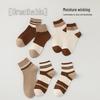 Women's Spring & Summer Short Socks - Maillard Double Needle Soft Cotton, Trendy All-Match Style.
