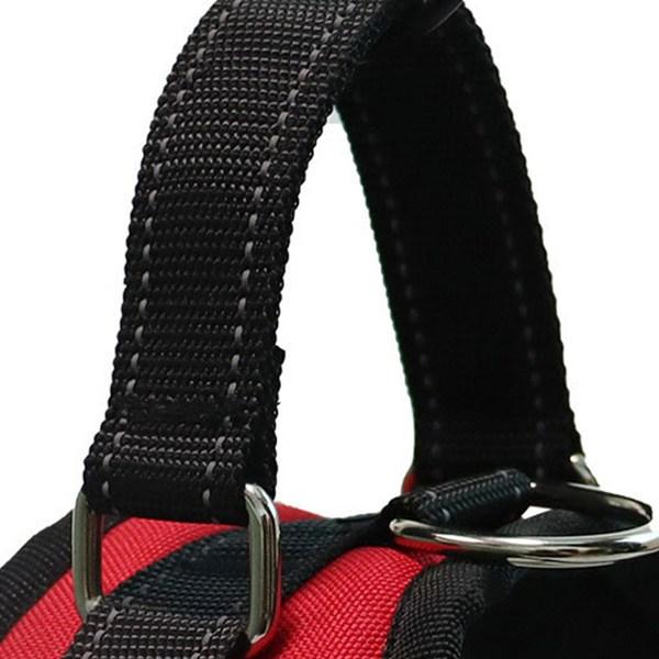 Saddle Chest Harness WI051DG, Red, -