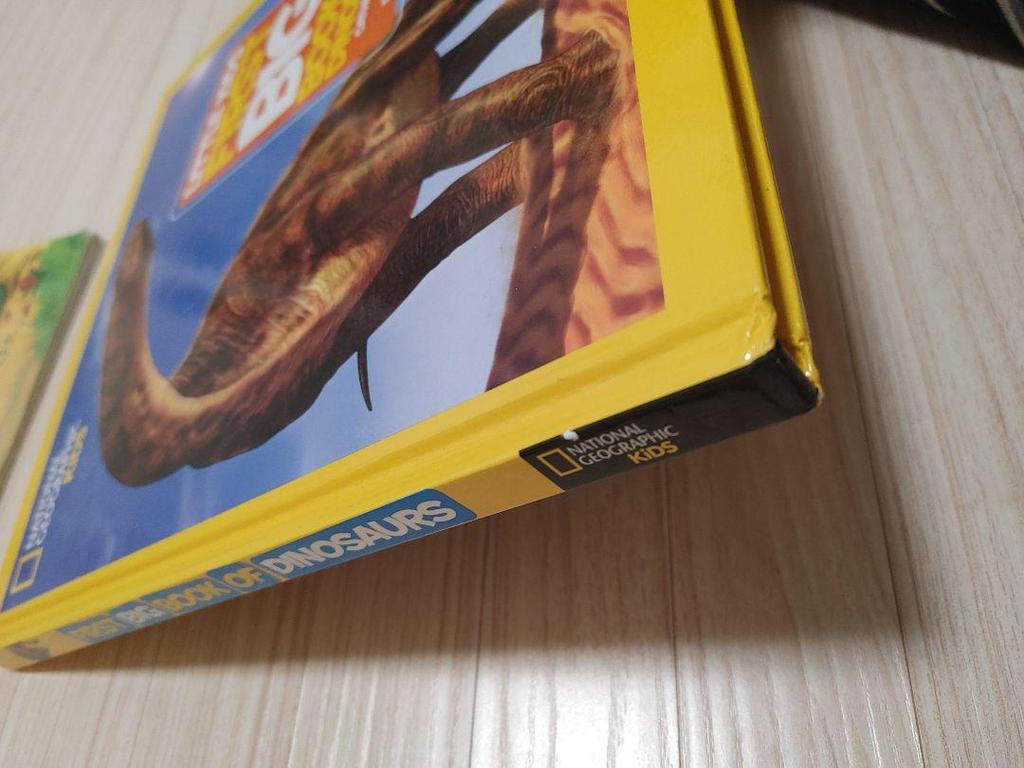 [USED] Foreign Books Picture Book Set: ZOG, Dinosaurs, Etc.