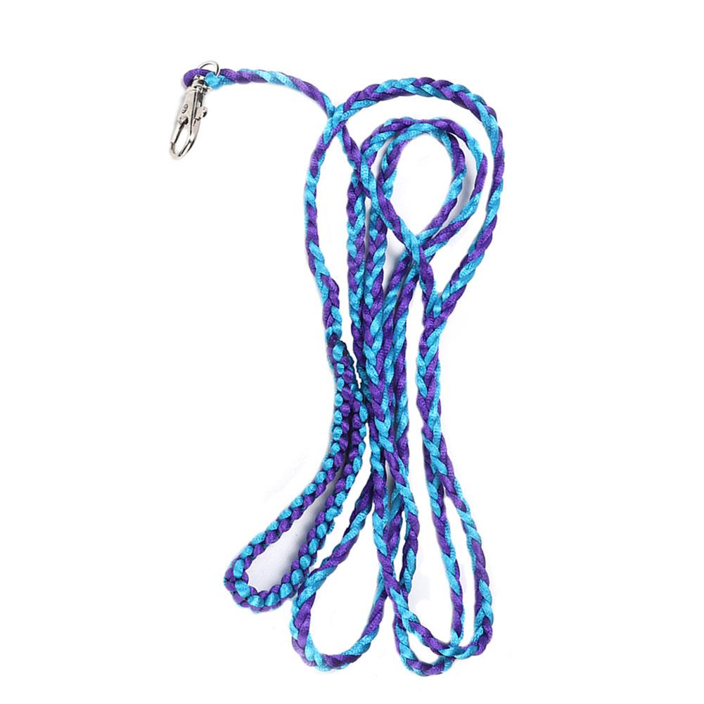 

Small Pet Squirrel Hamster Guinea Outdoor Leash Walking Training Harness Type 1