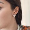 Silver Earrings Without Stones (2144038)