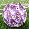 Ballon de Football Aphmau Thème Taille 5, Convient aux Matchs Intérieurs et Extérieurs, un Cadeau Adapté à Tous.