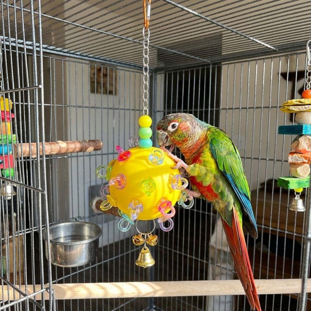 Detachable Bird Cage Toy with Bell Hanging Foraging Ball Creative Parrot Chewing Toy  Bird Training