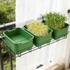 1/2/3x Seed Sprouter Tray with Cover Sprout Dish Growing Pot Seed Germination Tray Soilless Cultivation Germination Nursery Tray