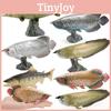 Pesce Scleropages Formosus Realistico Ornamento per Acquario in PVC con Base per Esposizione Domestica