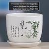 Simple White Ceramic Flower Pot with Base for Indoor Plants - Available in Large and Extra Large