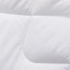 Mercury Home Textiles Ylang Ylang Antibacterial Fiber Quilt