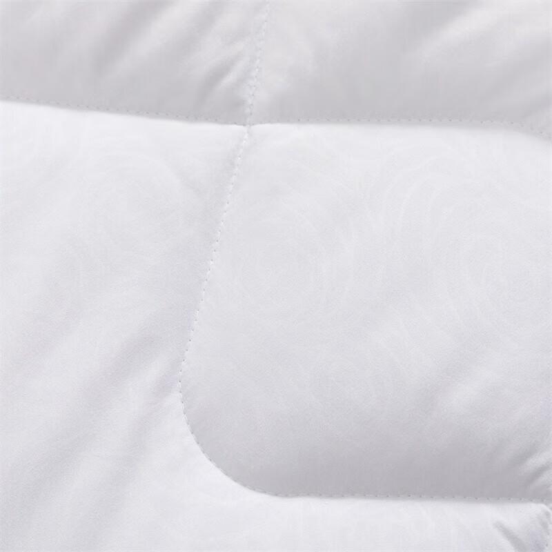 Mercury Home Textiles Ylang Ylang Antibacterial Fiber Quilt