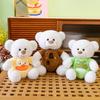 Dressing Transform Wear Clothes Teddy Bear Plush Toy Stuffed Companion Gift