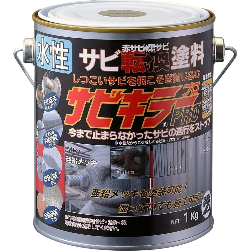 BAN-ZI Rust Killer Pro 1KG Silver 770026