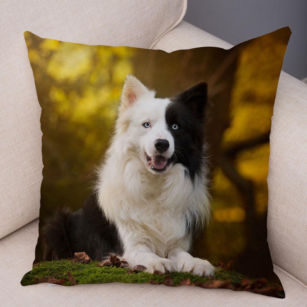 Cute Pet Animal Dog Print Pillowcase Scottish Border Collie Cushion Cover  Sofa Car Decoration