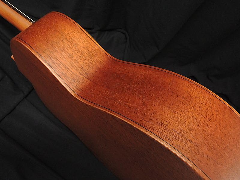 aNueNue Bird Guitar Solid Mahogany Top Mahogany single board top aNueNue acoustic guitar electric acoustic aNN-L20E