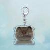 Beliebte Niedliche Katze Lustige Schlüsselanhänger für Zubehör Tasche Haustier Katzenliebhaber Meme Miau Schlüsselanhänger Ring Schmuck Fans Geschenke Schlüsselanhänger