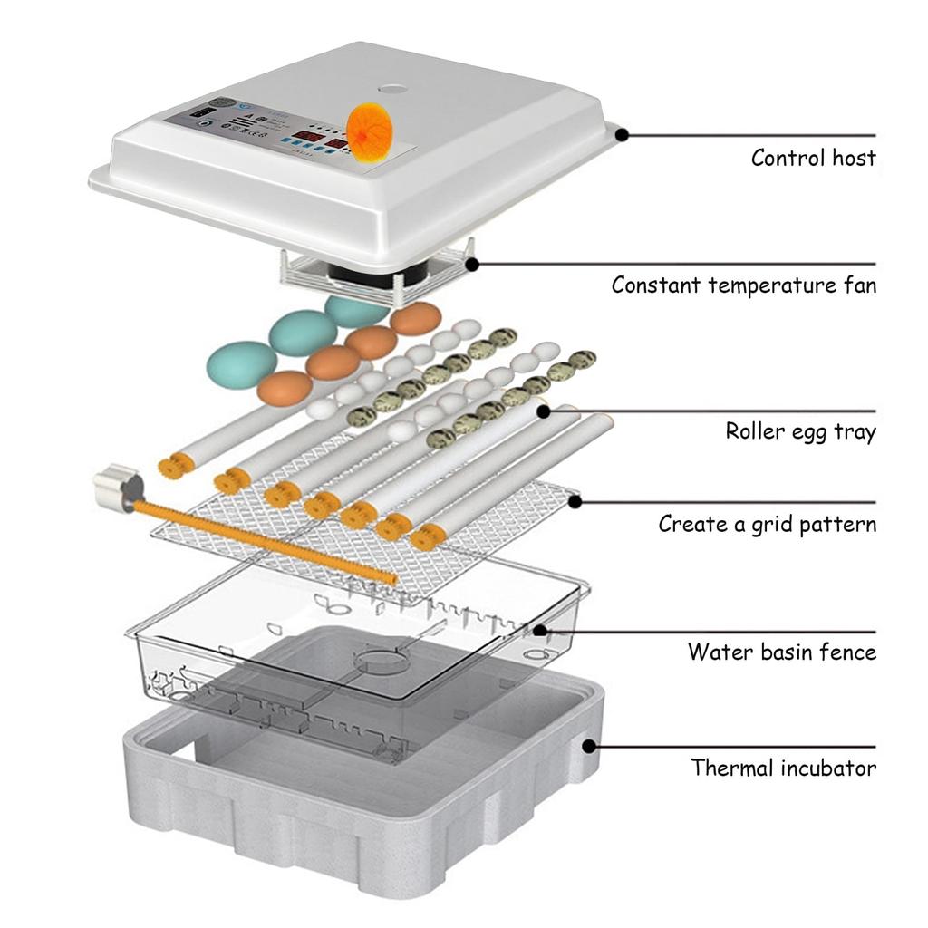 16/36 Egg Incubator for Hatching Chickens, Automatic Egg Turner, Clear Candler for Poultry, Duck, Goose Eggs