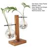 Plant Propagation Station with 1/2 Glass Vases And Wood Stand Decorative Tabletop Terrarium Planter Clear Glass Hydroponic Vase for Office Garden Home