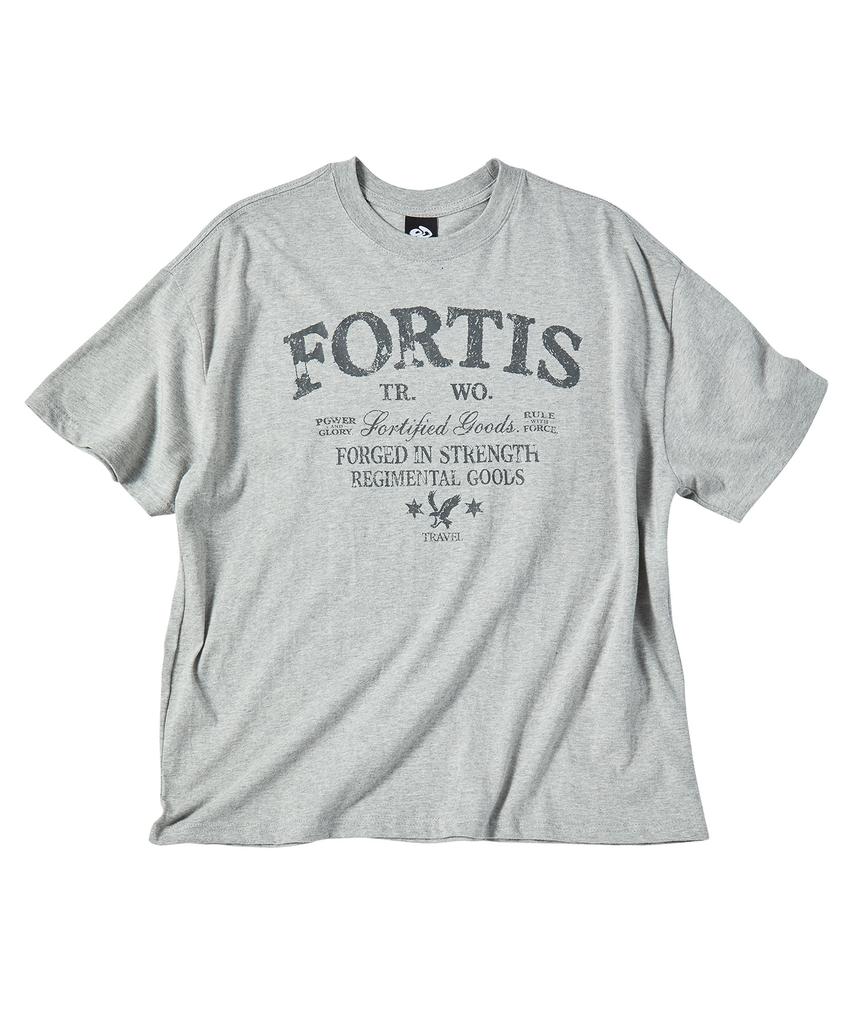 TRAVEL Fortis Crop Short Sleeve Tee Gray