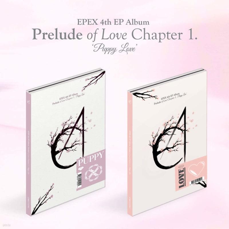 

EPEX - Mini Album Vol. 4: Book of Love Chapter 1. Puppy Love [1 out of 2 versions will be sent randomly]