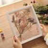 3D Double-Sided Transparent Frame for DIY Dried Rose Specimen Display