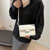 Chic Street Style Pu Leather Crossbody Bag For Women Available In Modern Colors