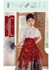 2025 Spring & Autumn Girls' Hanfu Skirt Set: Chinese Tang Style