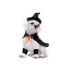 Cute Witch Pirate Pet Dog Resin Ornaments Home Holiday Gifts