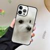 Cartoon Maltese Dog Phone Case For iPhone 17 Air 15 16 16e 11 12 13 14 Pro Max Cover For iPhone 17 Air Max Plus coque Fundas