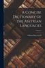 The A Concise Dictionary of the Assyrian Languages; Volume 2 Book