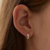 [Silver925] Oval Corn Hoop Earring