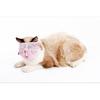 Cat Muzzles - Breathable Mesh Muzzles Prevent Cats from Biting and Chewing - Anti Bite Anti Meow (Blue-L)