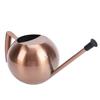 Watering Can with   Spout 1000ml Stainless Steel Round Indoor Plant Watering Can with Detachable Head for Home Garden Flower
