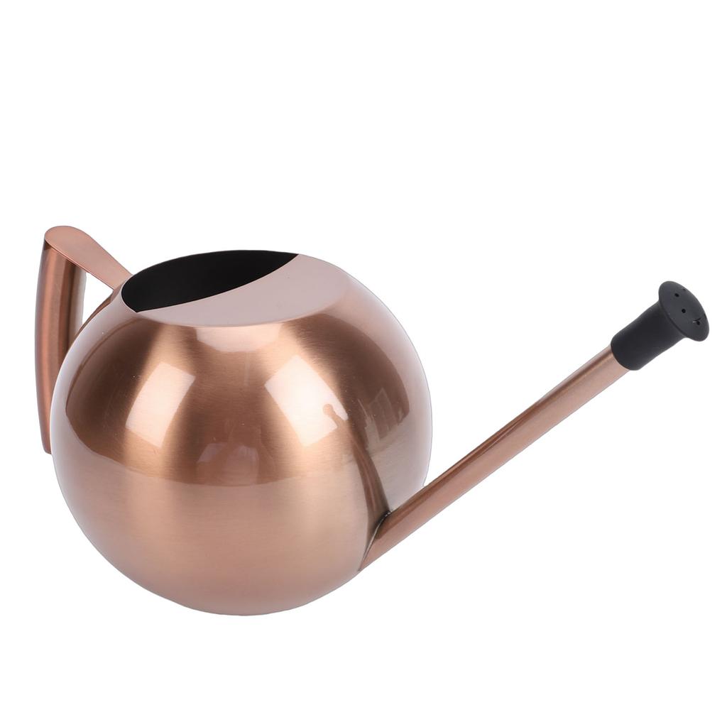 Watering Can with Spout 1000ml Stainless Steel Round Indoor Plant Watering Can with Detachable Head for Home Garden Flower