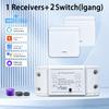 Tuya WiFi Smart Switch 433MHz Universal Breaker Timer Voice Control Smart Life APP Wireless Remote Control Support Alexa Google