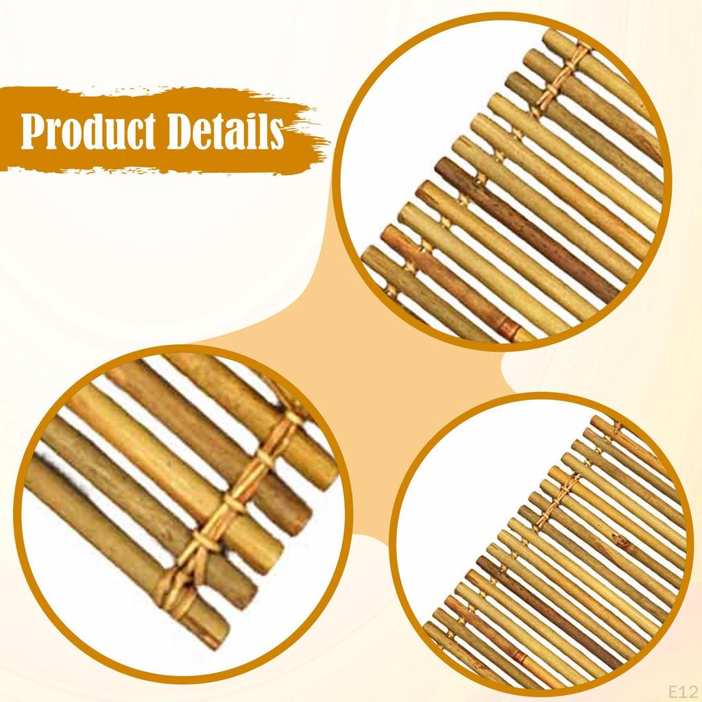 Sushi Serving Tray Dish BBQ Seafood Sashimi Holder Japanese Plate for Desserts