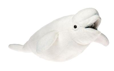 BH6626 HANSA Beluga 42